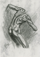 Male Life Study 12